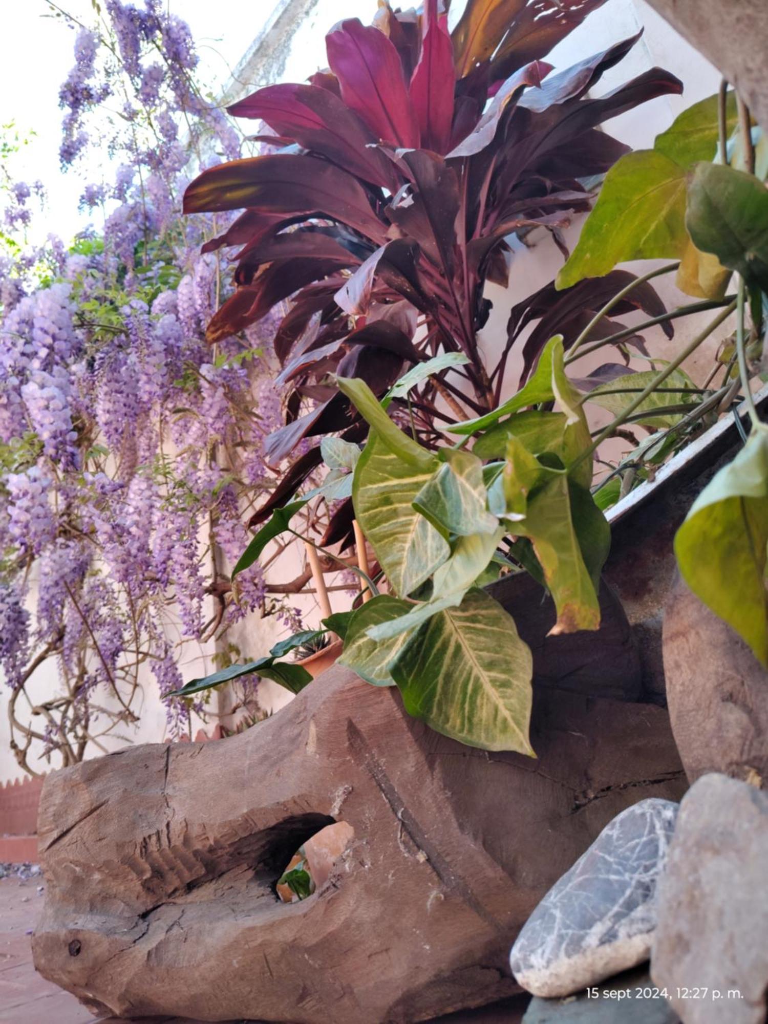 Willa Casa Kuyay San Salvador de Jujuy Zewnętrze zdjęcie