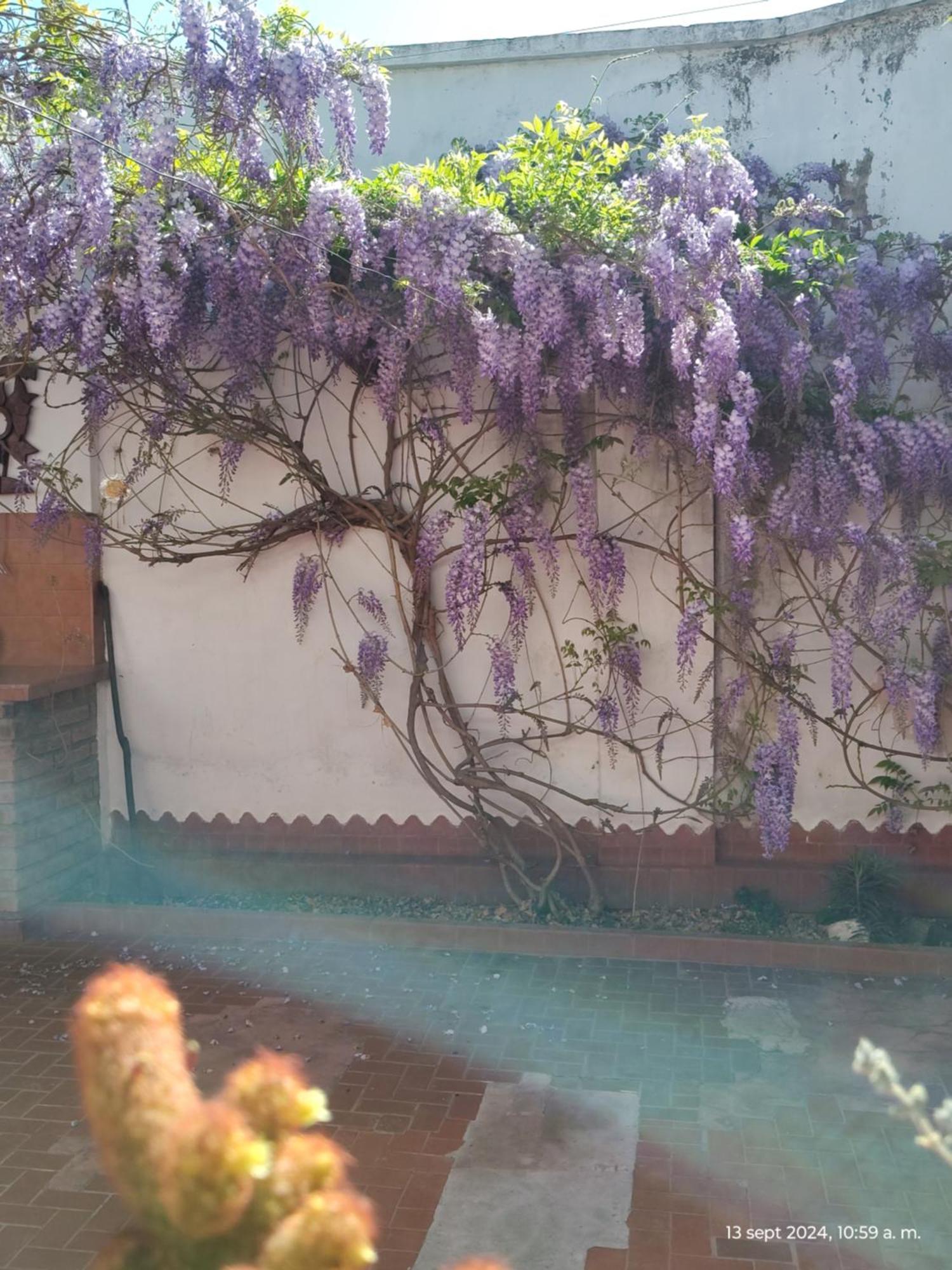 Willa Casa Kuyay San Salvador de Jujuy Zewnętrze zdjęcie
